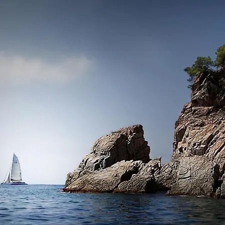 Tambora- Costa Brava Lloret de Mar