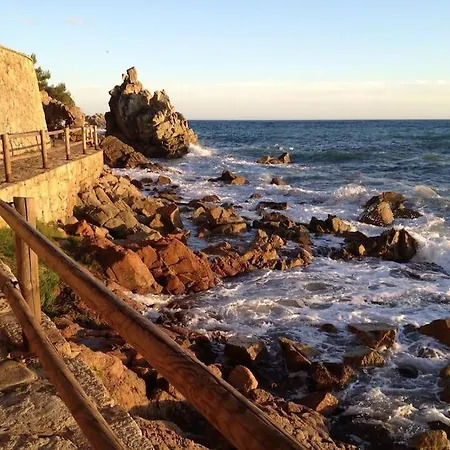Tambora- Costa Brava *