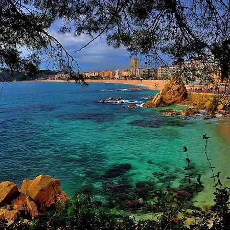 Tambora- Costa Brava