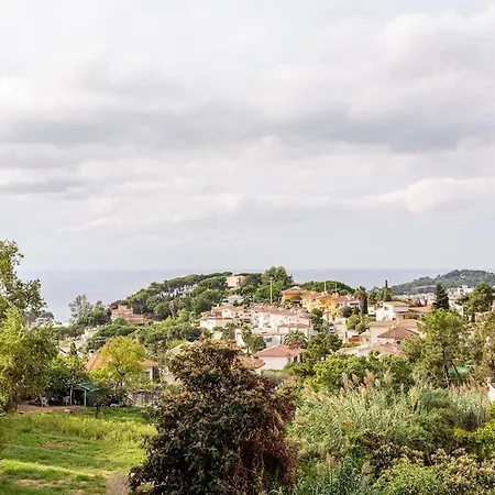 Tambora- Costa Brava Lloret de Mar